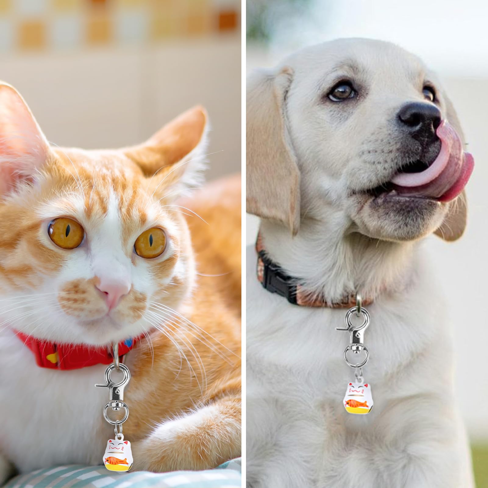 EXPAWLORER loud and sweet jingle indicates pet movement during outdoor activity