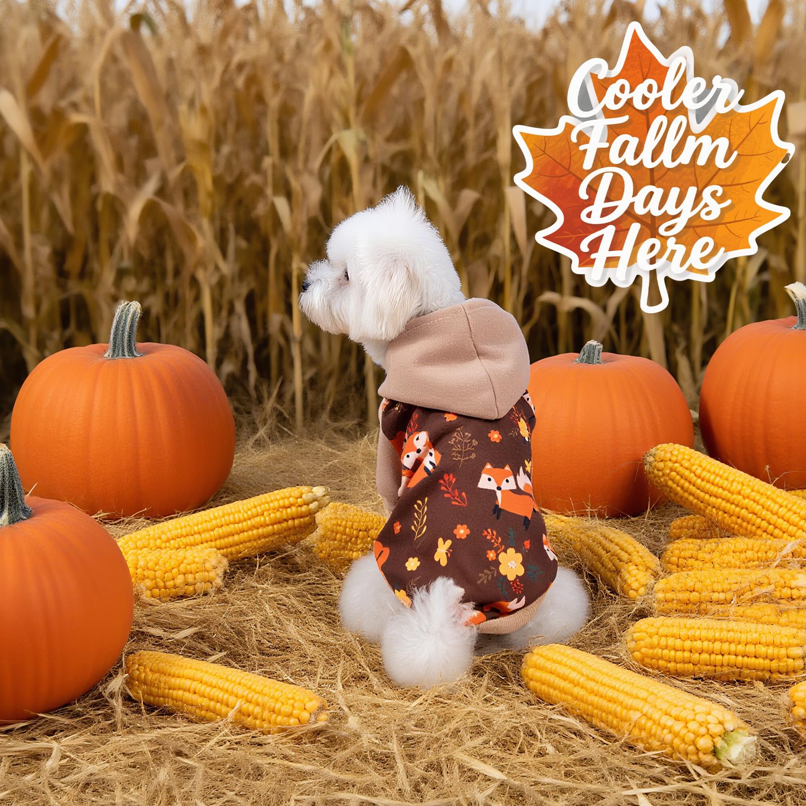 EXPAWLORER machine-washable-dog-sweater stays fresh after gentle cold-cycle wash.