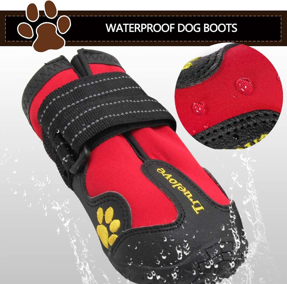 EXPAWLORER measurement-guide paw width and length for sizing