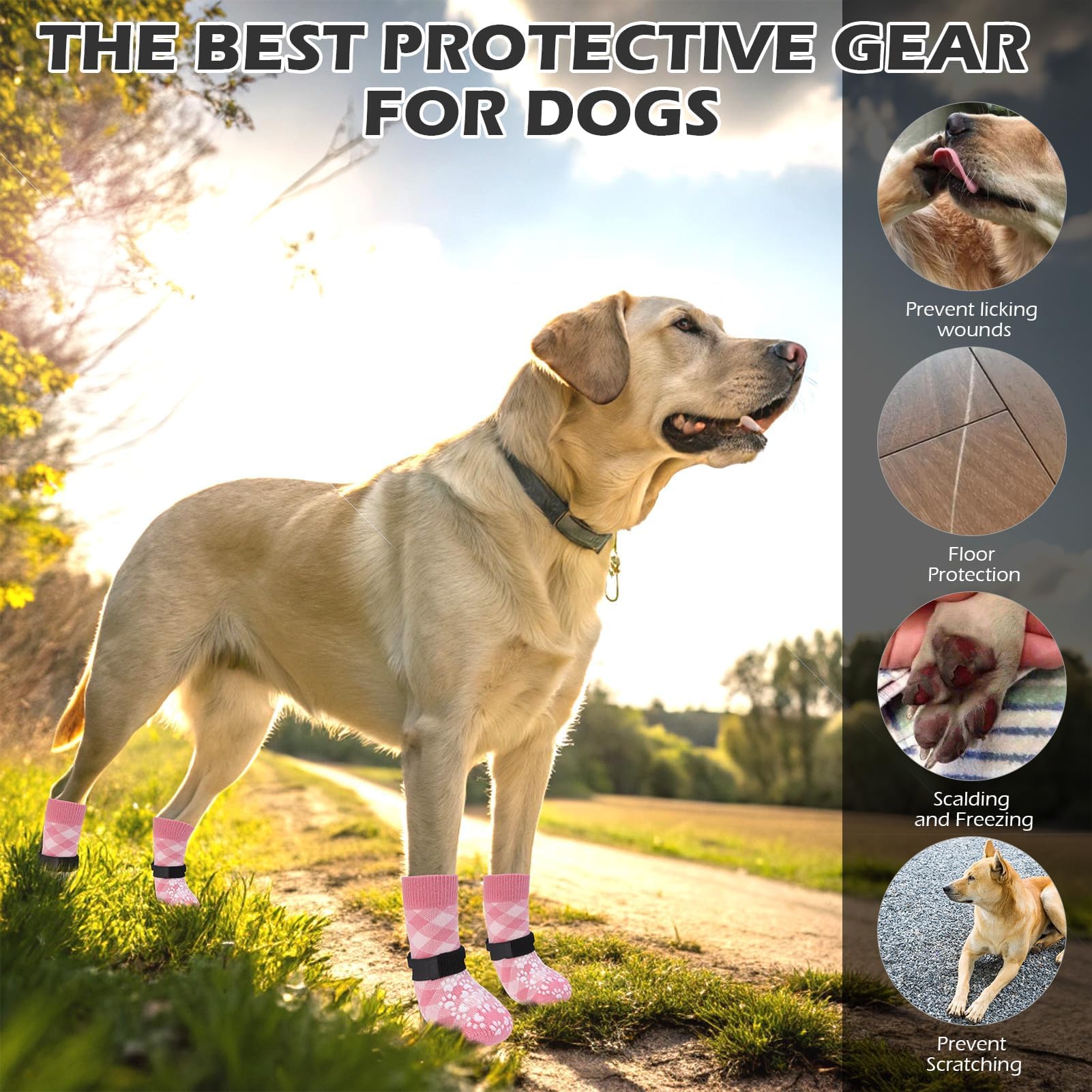 EXPAWLORER non-slip paw grips provide extra traction on smooth hardwood floors.
