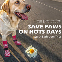 EXPAWLORER paw grips-no-slip design provides reliable traction on smooth indoor floors.