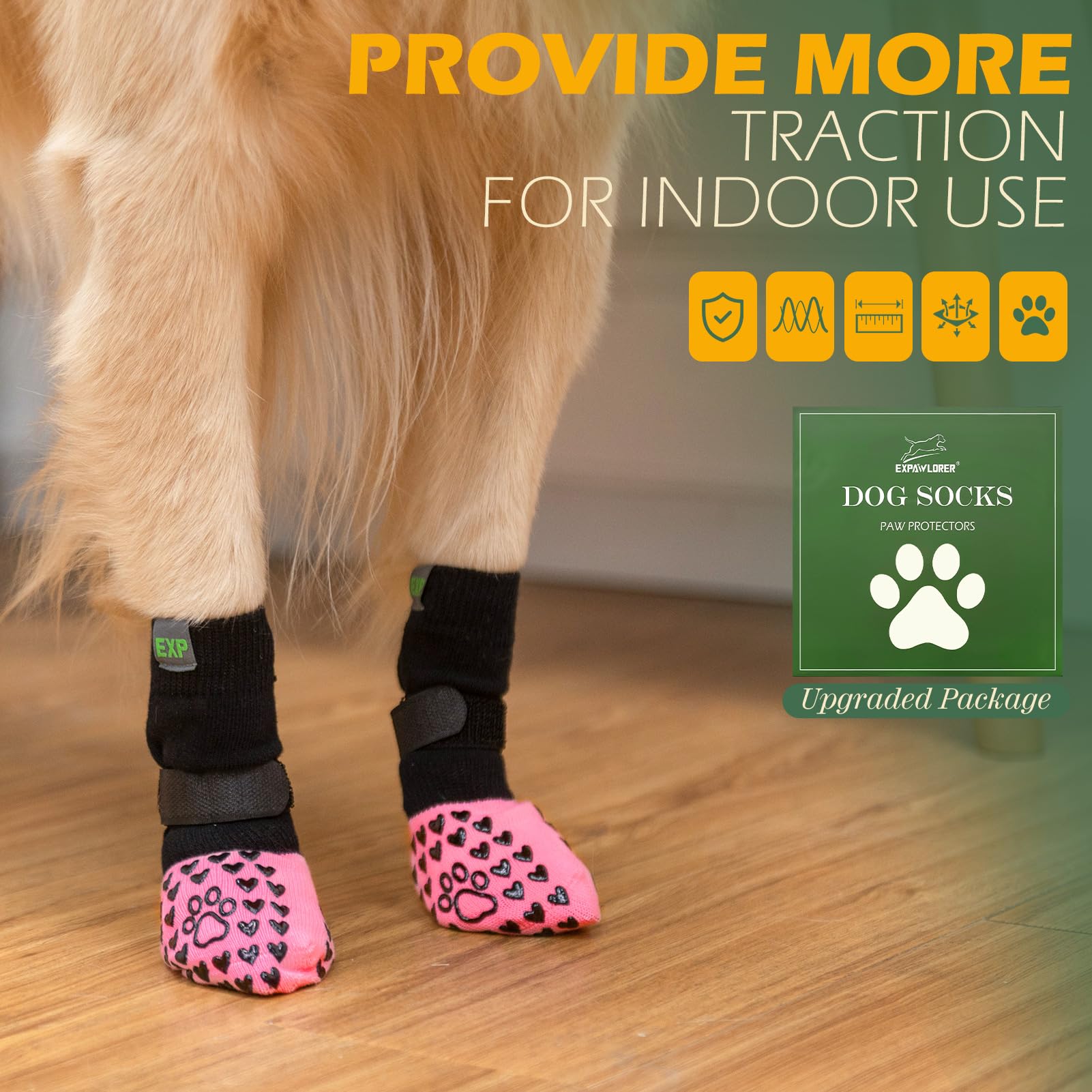 EXPAWLORER paw protection against hot pavement during summer walks.
