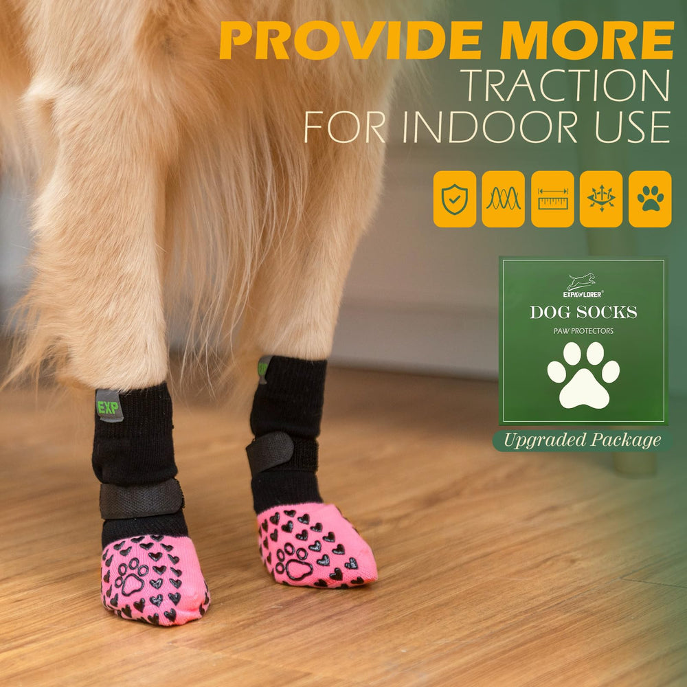 EXPAWLORER paw protection against hot pavement during summer walks.
