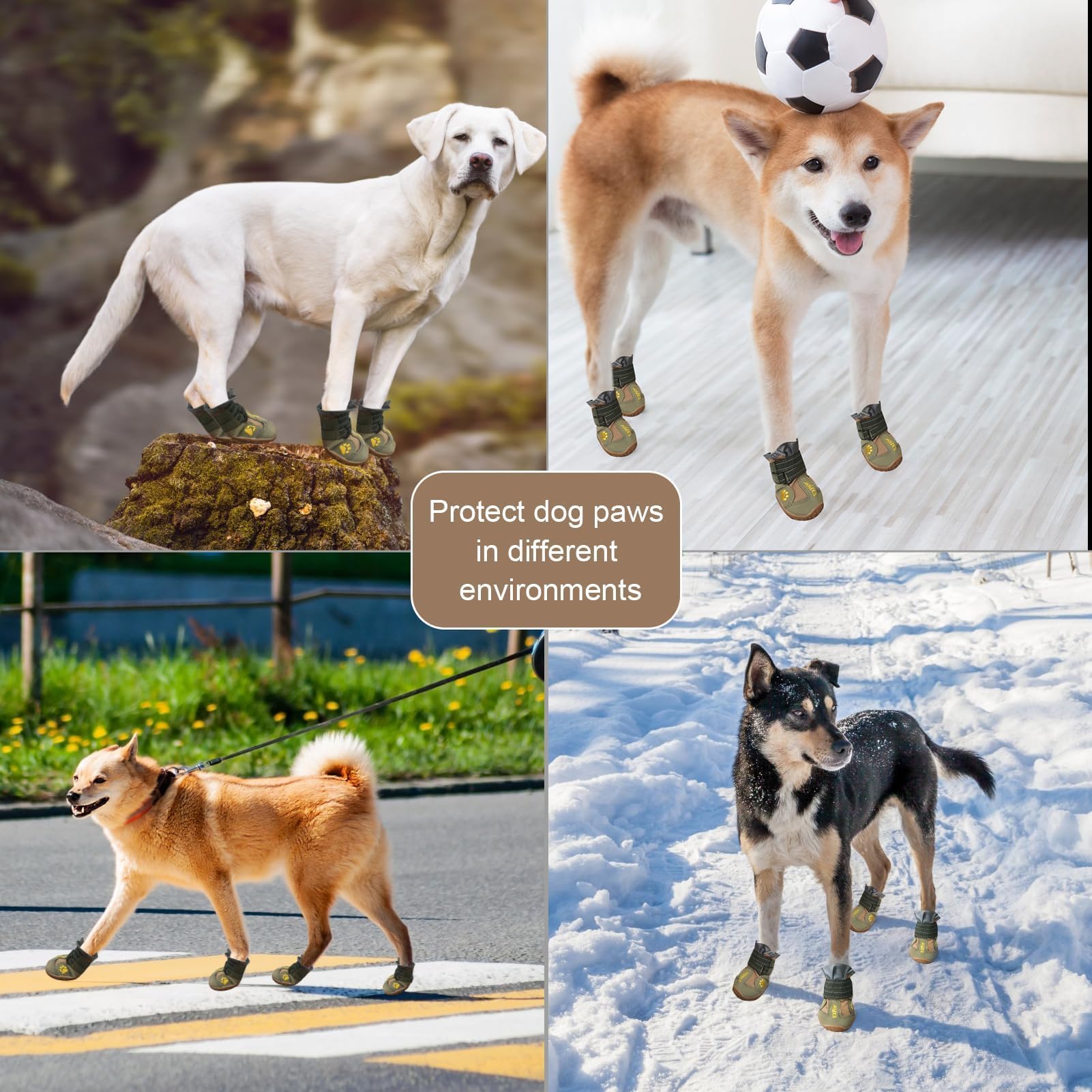 EXPAWLORER paw sizing guide image for correct fit