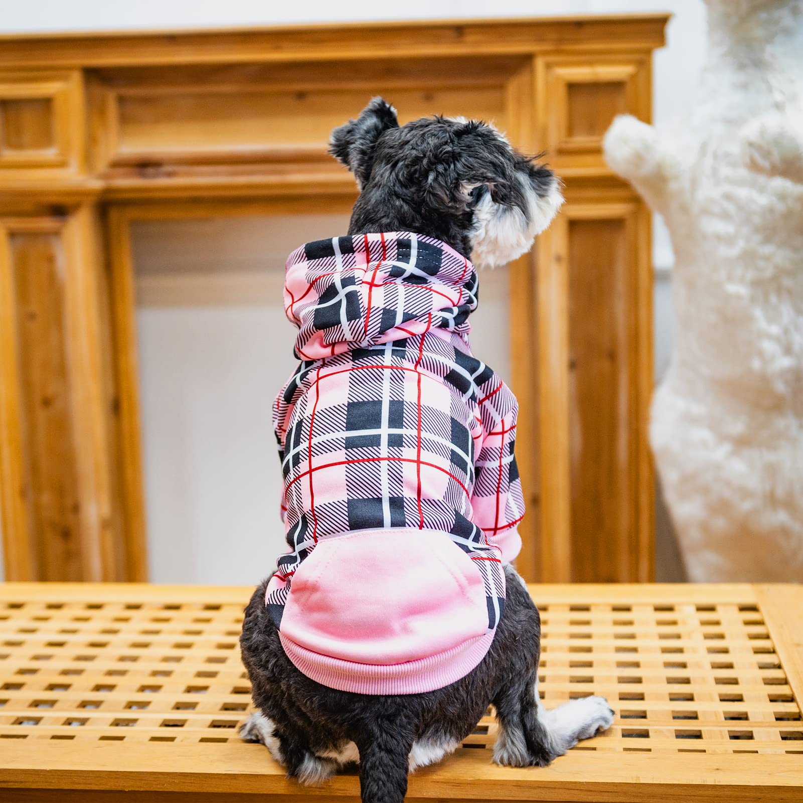EXPAWLORER plaid dog hoodie warm fabric ideal for autumn days.