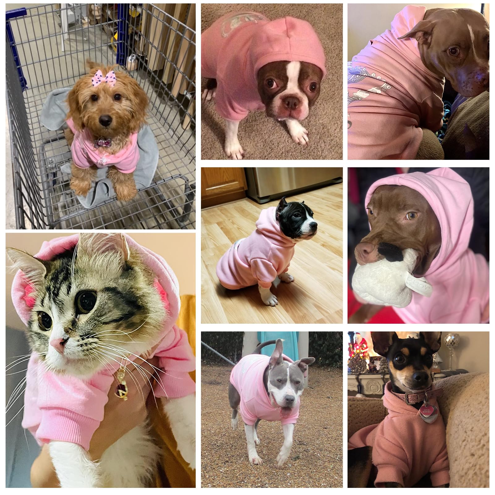 EXPAWLORER Princess Hoodie, ajuste elástico, comodidad en cada movimiento