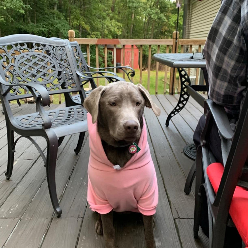 EXPAWLORER Princess Hoodie, material suave de algodón y poliéster, fácil de lavar