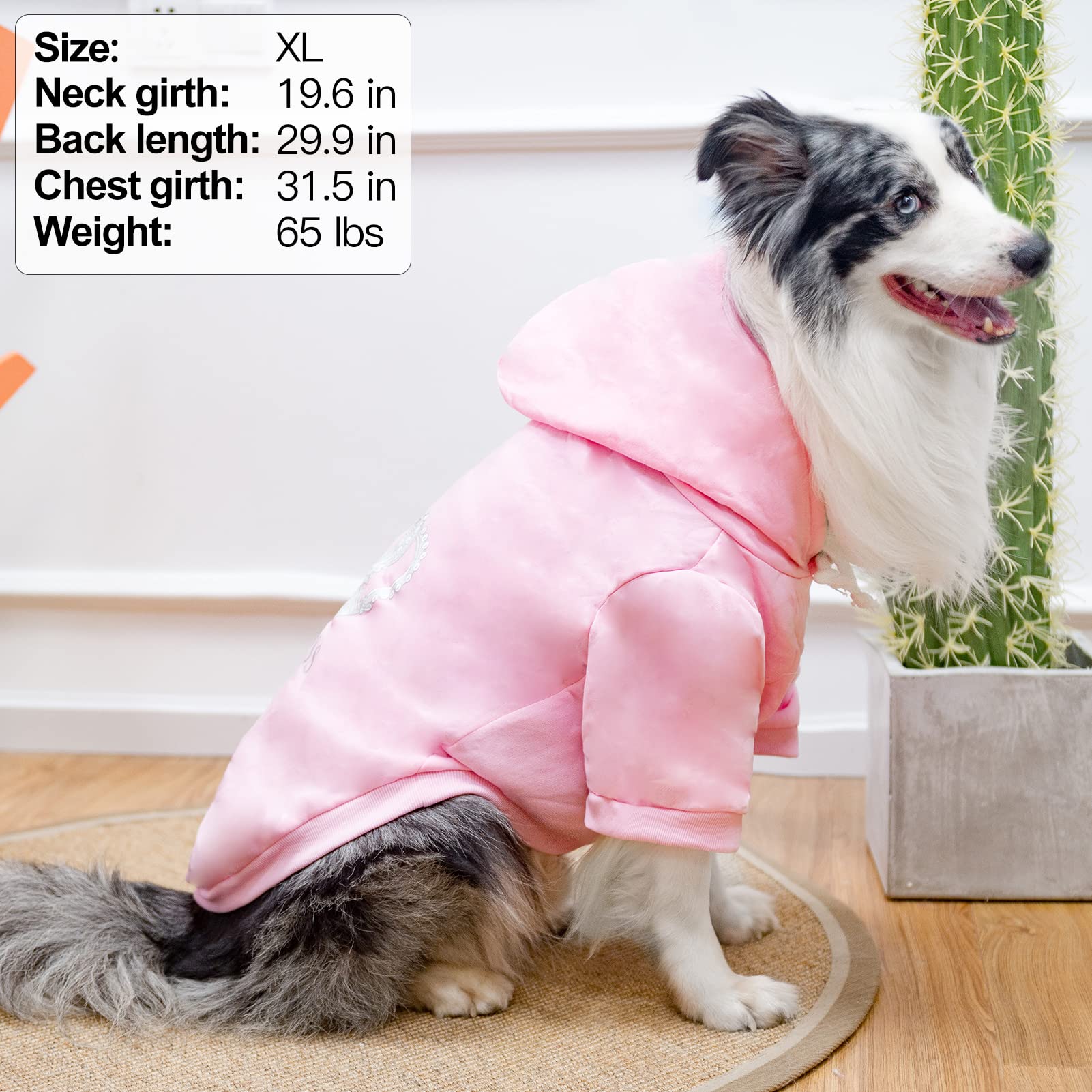 EXPAWLORER Princess Hoodie, orificio para correa en la espalda para paseos