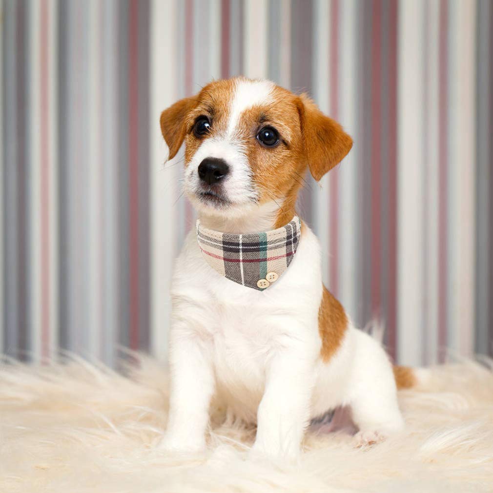 EXPAWLORER pu-leather-skin-friendly material for pets