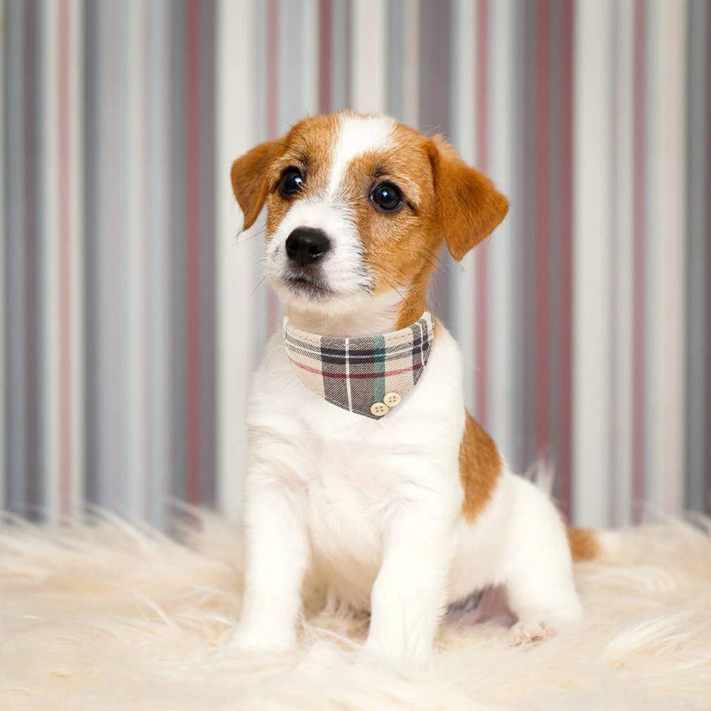EXPAWLORER pu-leather-skin-friendly material for pets