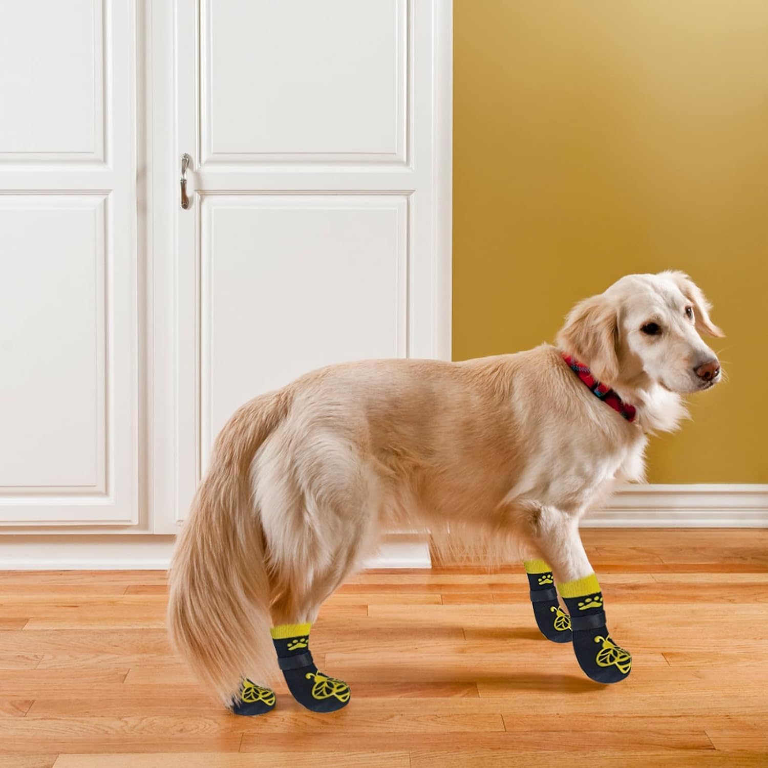 EXPAWLORER paw socks with removable straps ensure secure fit through washing.