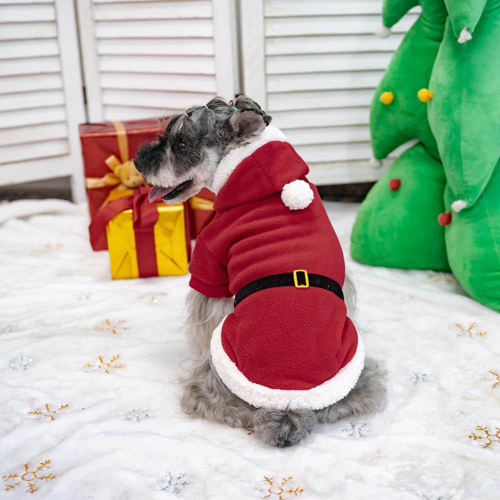 EXPAWLORER Hat ball detail enhances festive appearance for photos.