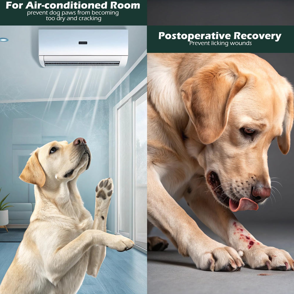 EXPAWLORER seguridad-patitas-suelos-lisos facilita caminar en suelos resbaladizos