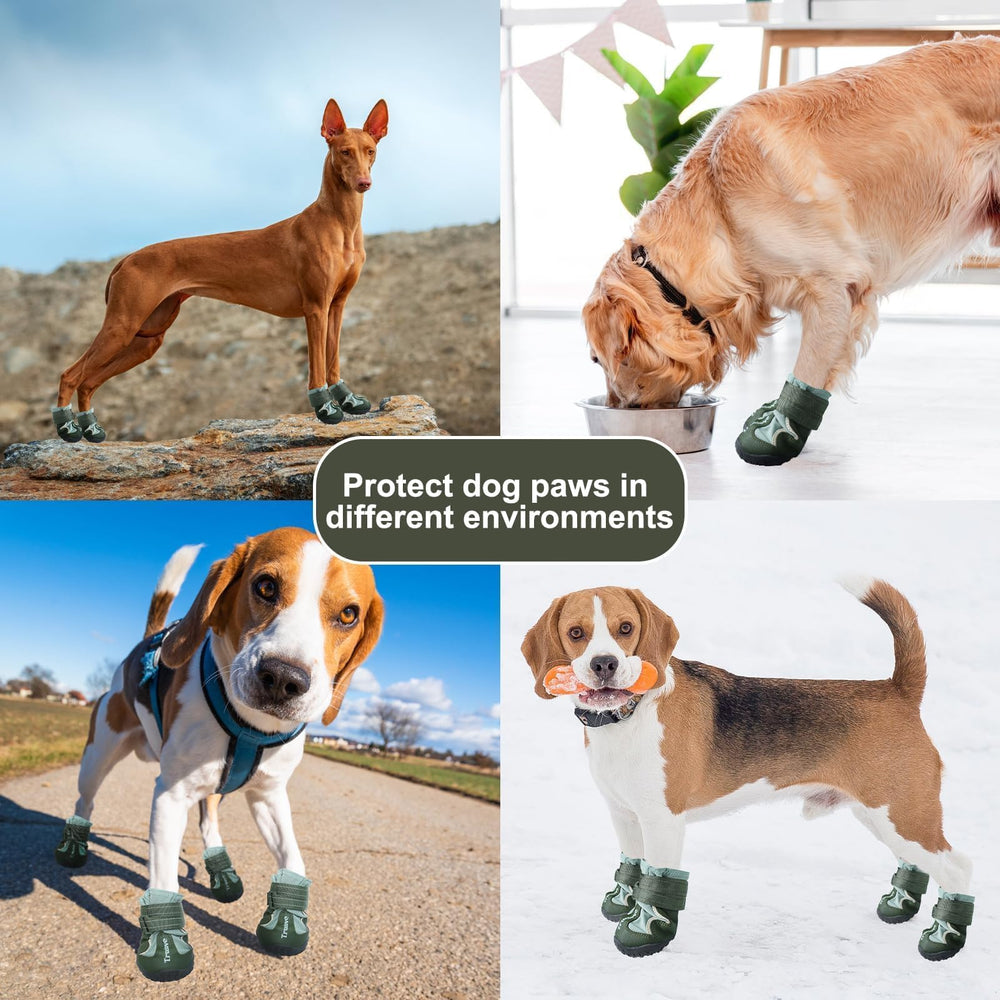 EXPAWLORER size chart highlights paw width for accurate fit