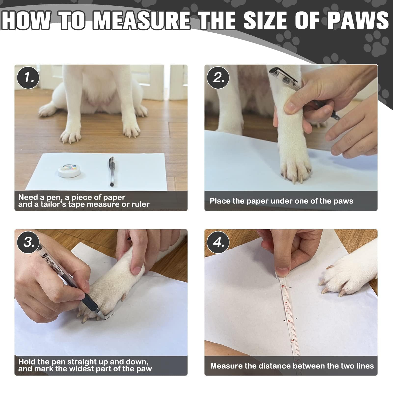 EXPAWLORER size-M paw measurement guide helps pick the right fit.