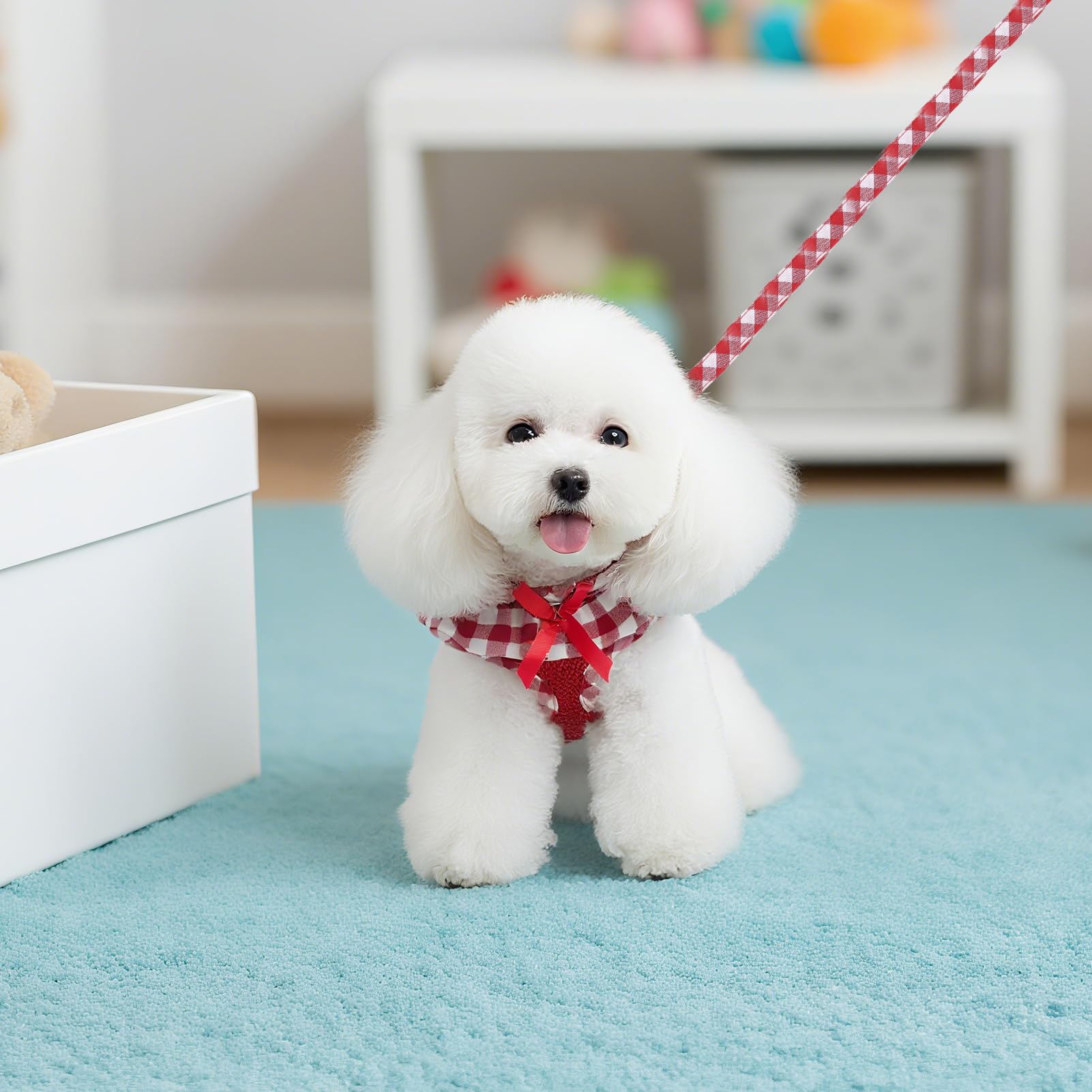 EXPAWLORER small-dog cat-wear set ready for adventures