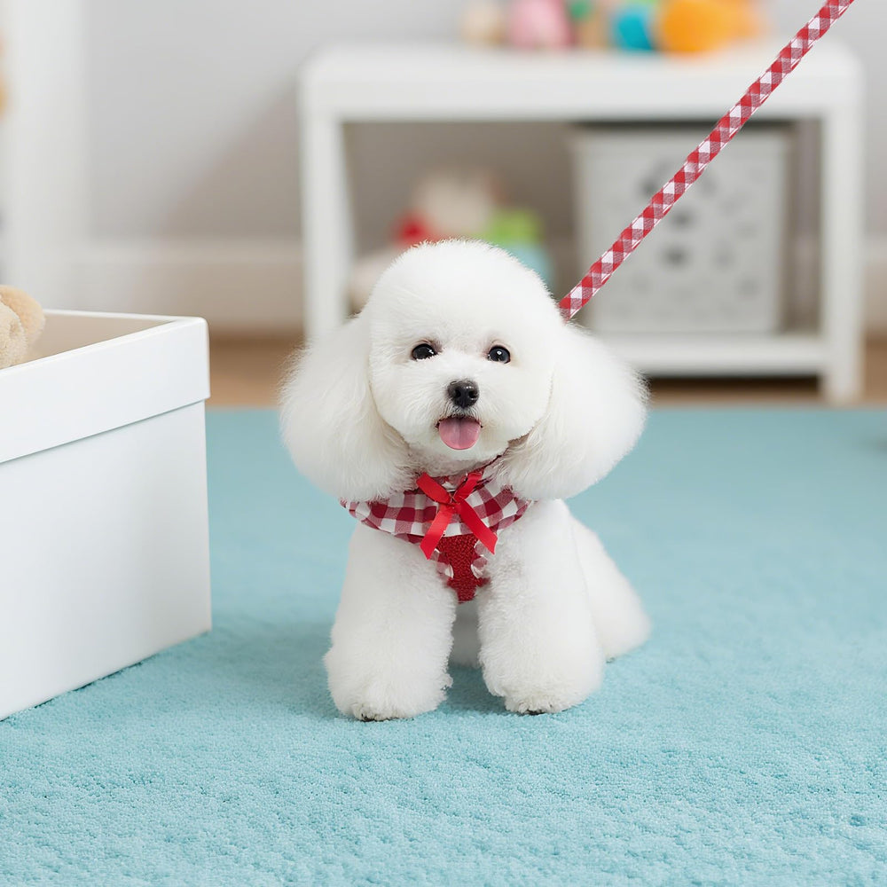 EXPAWLORER small-dog cat-wear set ready for adventures
