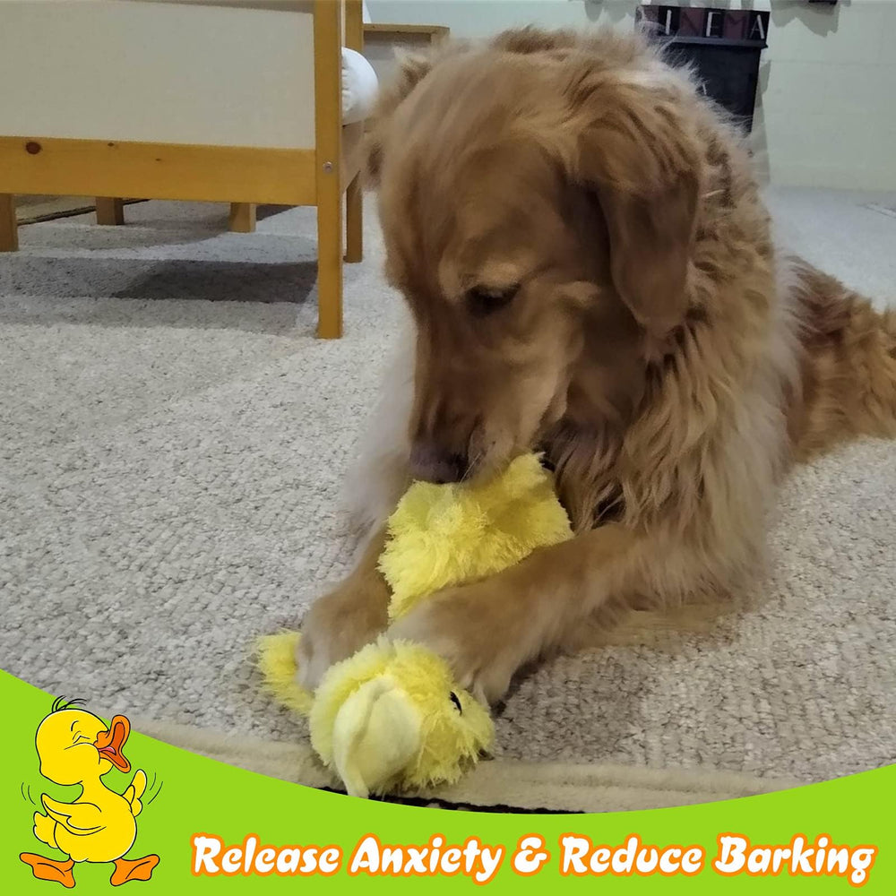 EXPAWLORER small-to-medium dogs enjoy playful duck-themed enrichment.