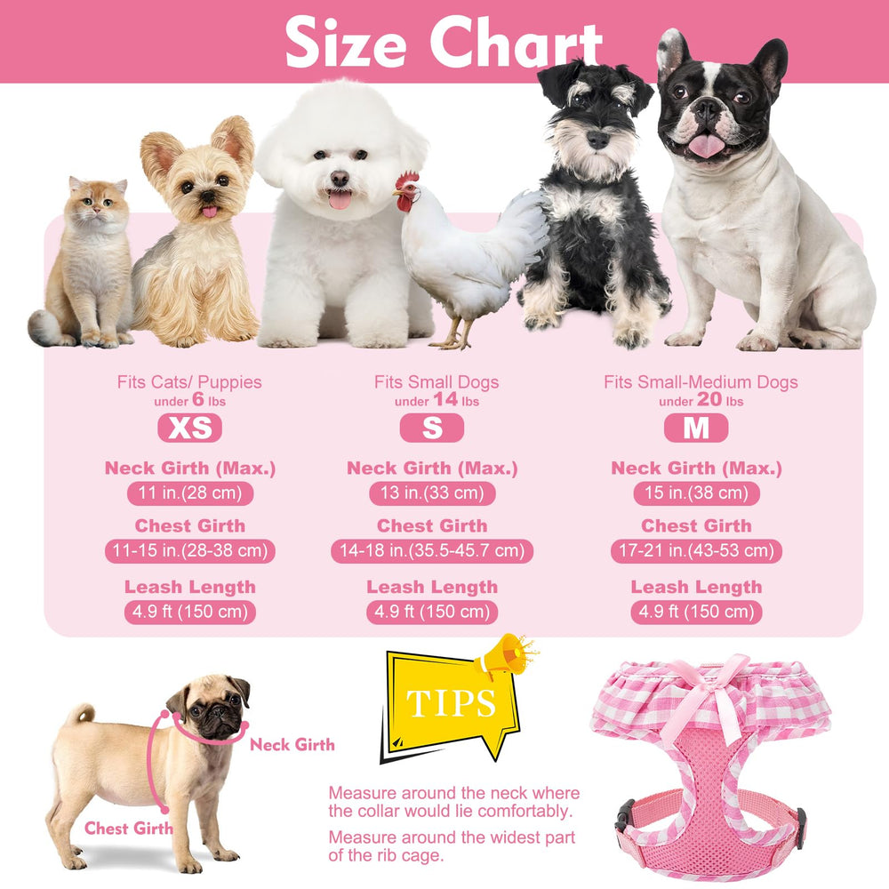 EXPAWLORER soft breathable polyester fabric keeps pets comfortable on walks