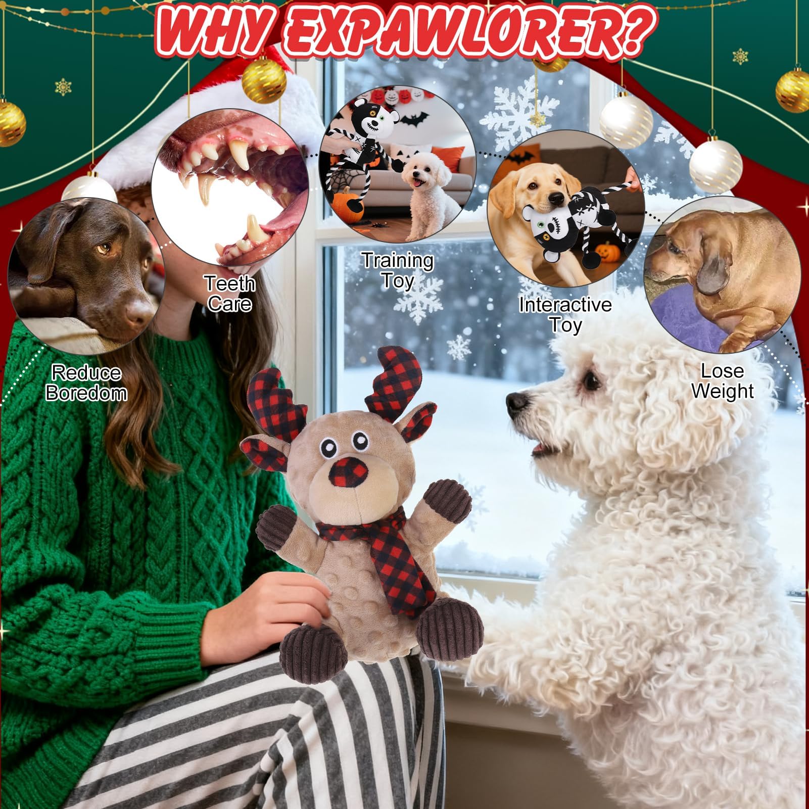 EXPAWLORER durable plush construction supports gentle teeth-cleaning during supervised play