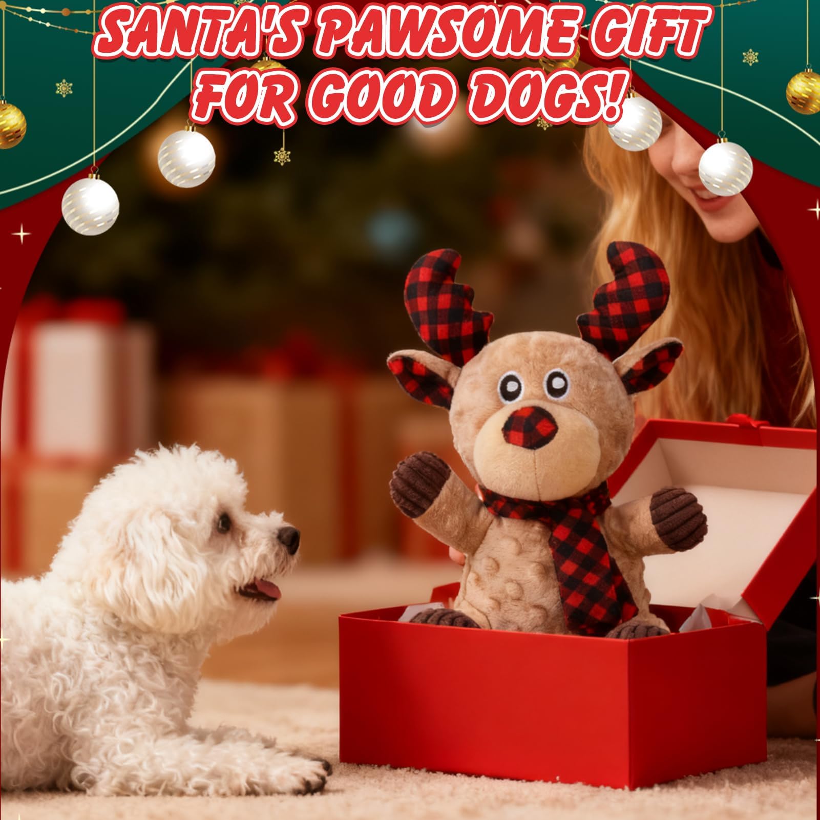 EXPAWLORER packaging image showing ready gift option for pet lovers