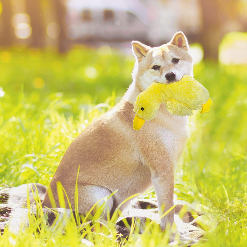 EXPAWLORER stress-relief duck toy helps reduce loneliness during owner's absence.