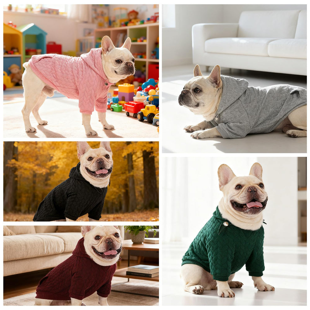 EXPAWLORER hoodie worn by dog during a walk, demonstrating all-day wearability