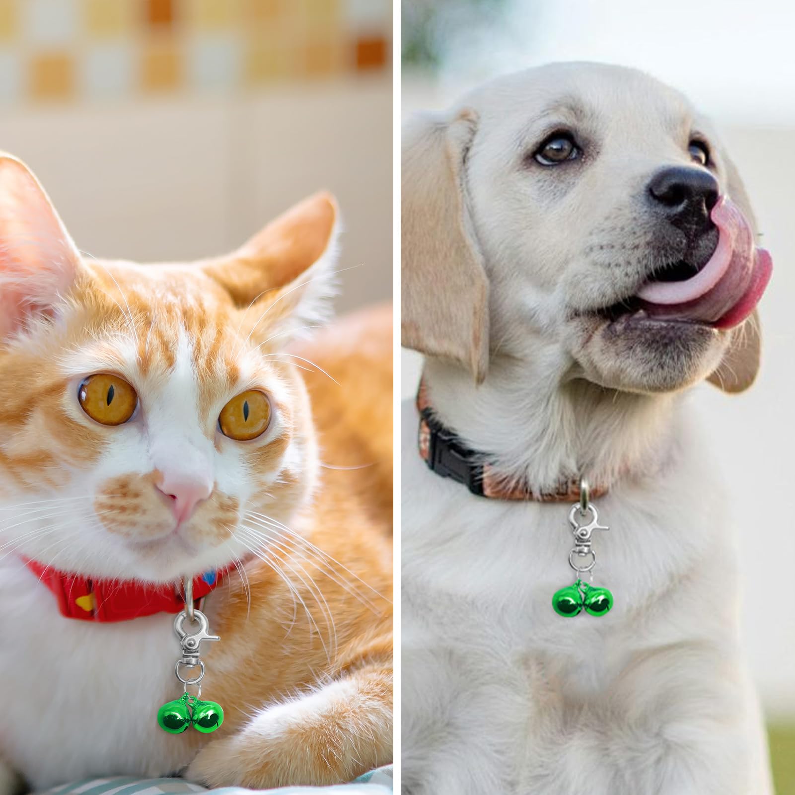 EXPAWLORER training-ready bells attach to most D-rings securely