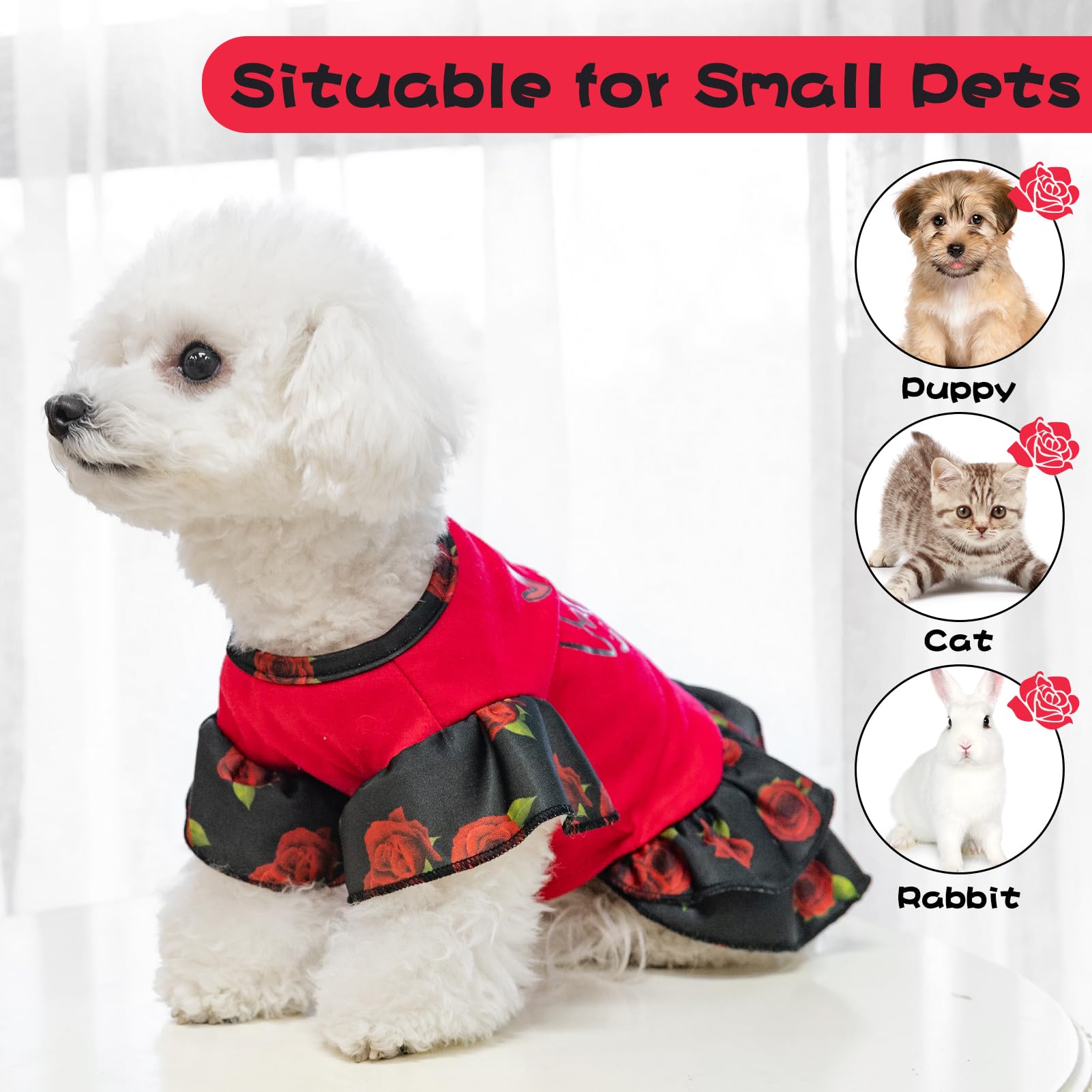 EXPAWLORER Valentines dress on dog at party for stylish appeal.