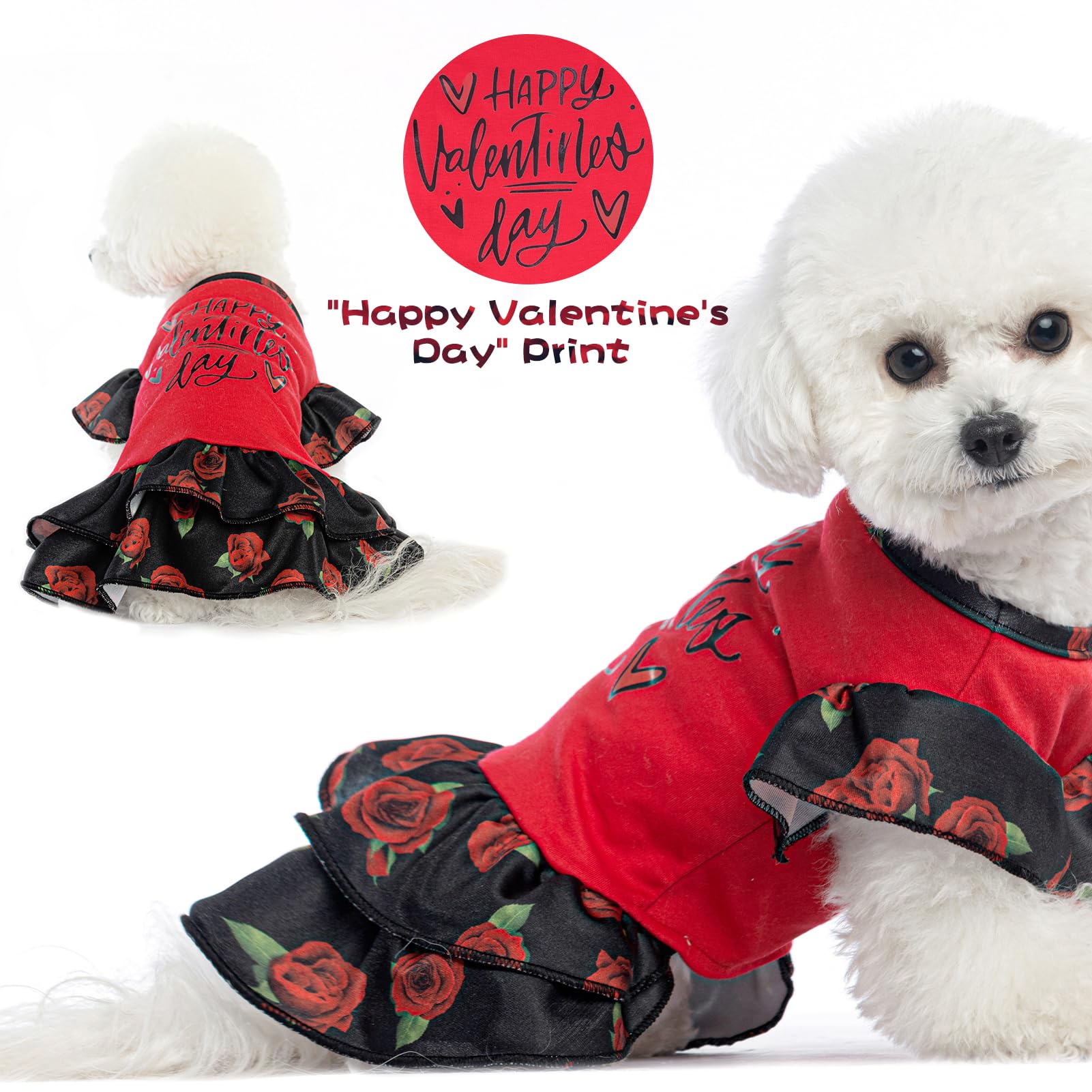 EXPAWLORER Valentines dress easy-on, easy-off design.