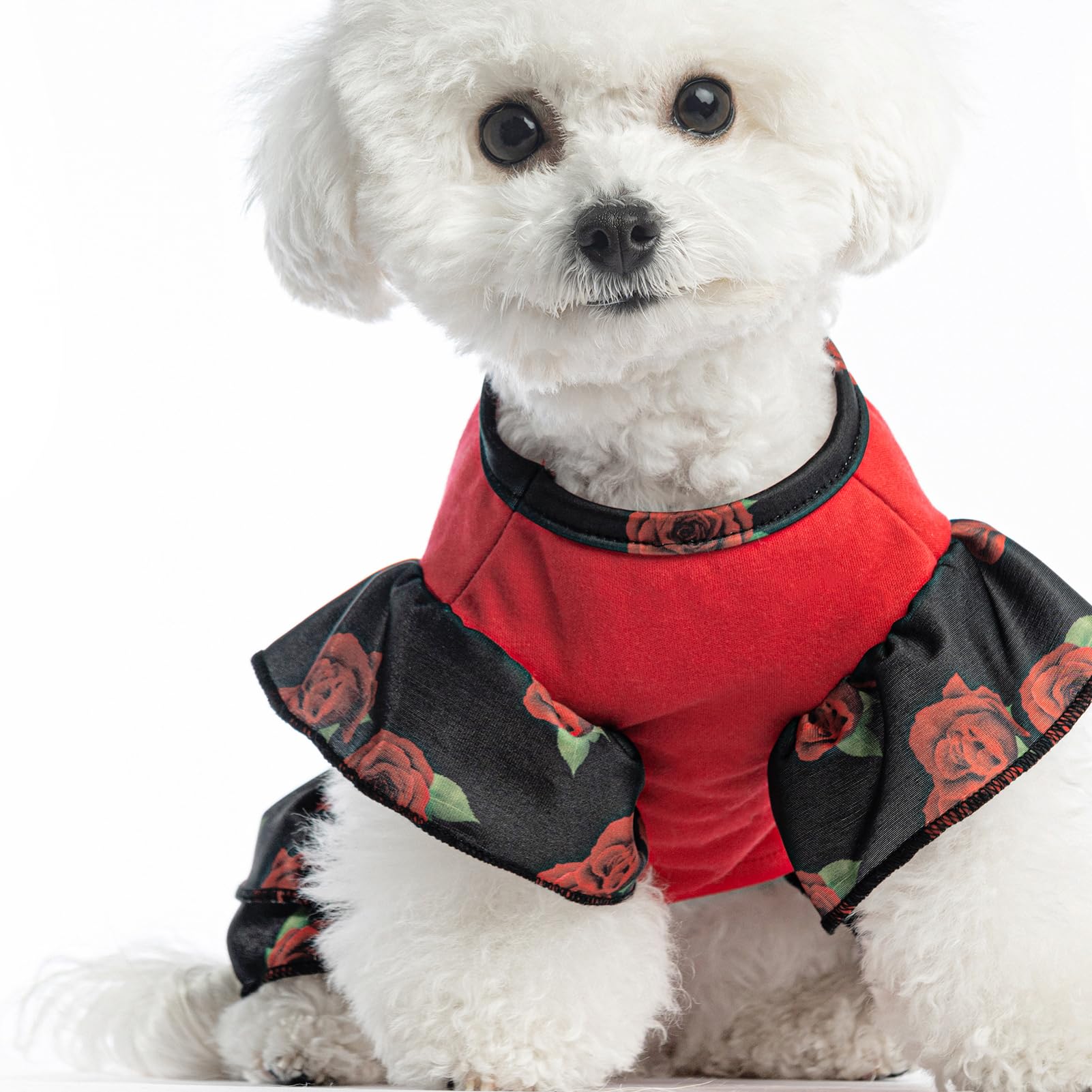 EXPAWLORER Valentines dress with precision stitching for durability.