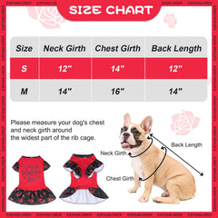 EXPAWLORER Valentines dress in red for holiday charm.