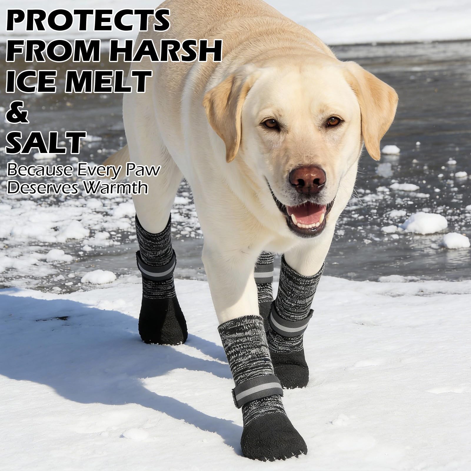 EXPAWLORER waterproof dog boots protect paws in winter and on hot surfaces.