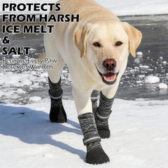 EXPAWLORER waterproof dog boots protect paws in winter and on hot surfaces.