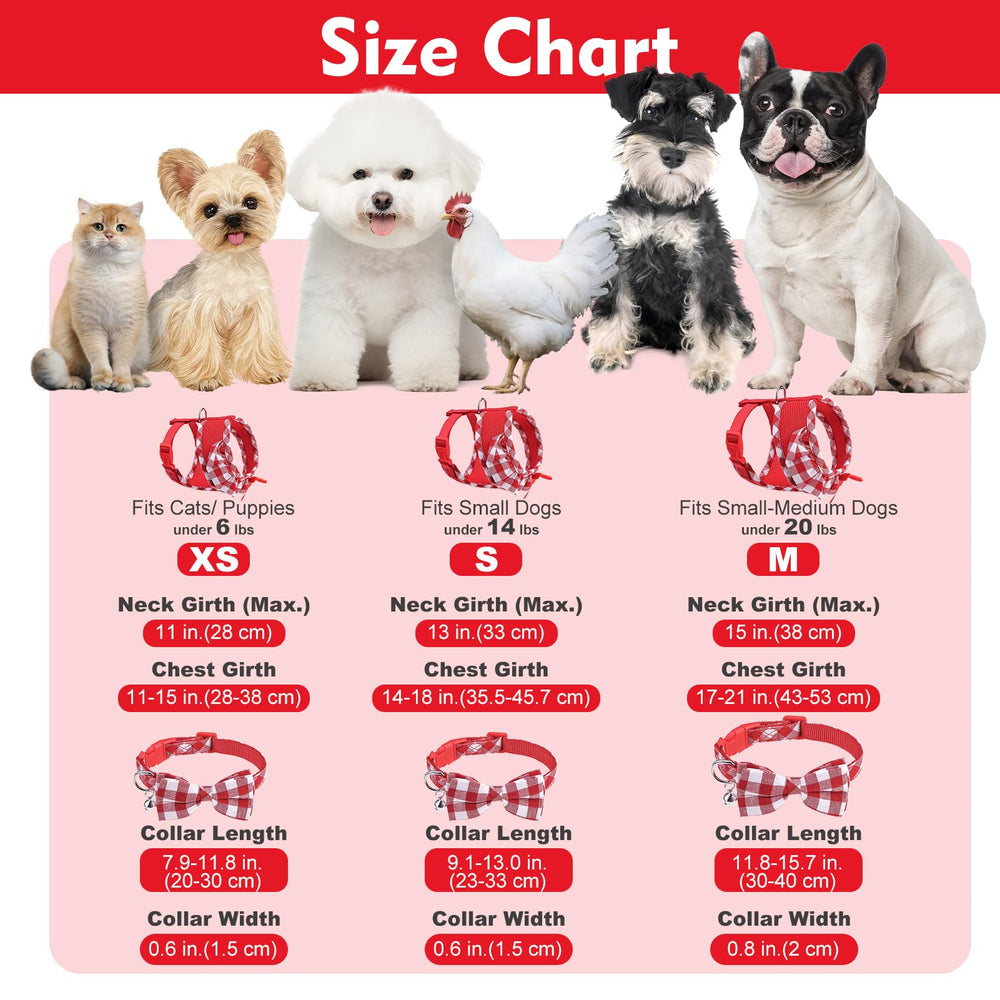 EXPAWLORER XS size guide ensures secure fit for small pets