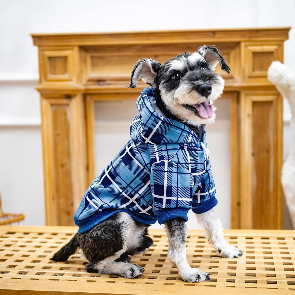 EXPAWLORER British-style plaid pattern enhances charm during festive or everyday outings