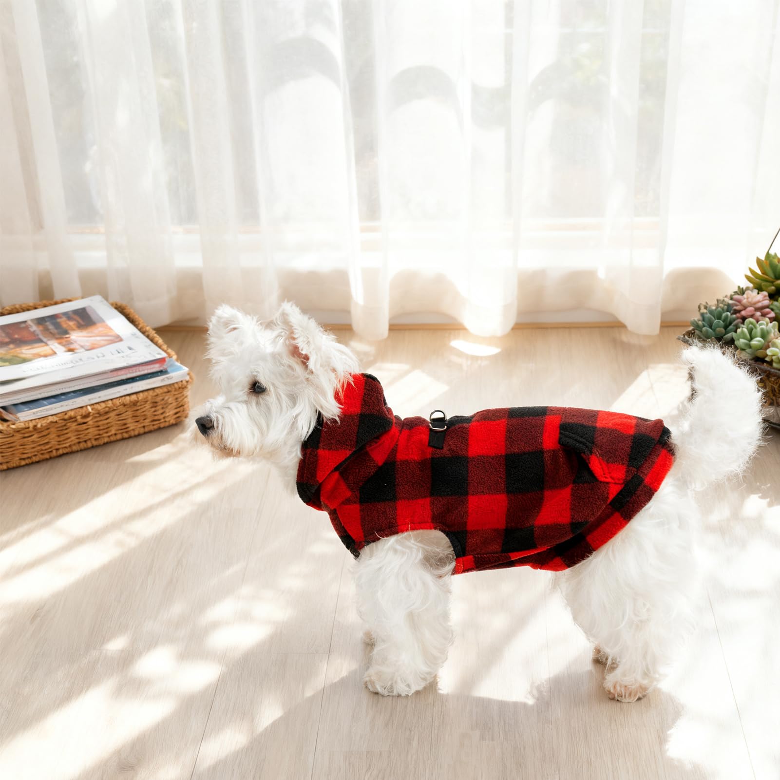 EXPAWLORER cat and dog friendly plaid vest shows versatile use