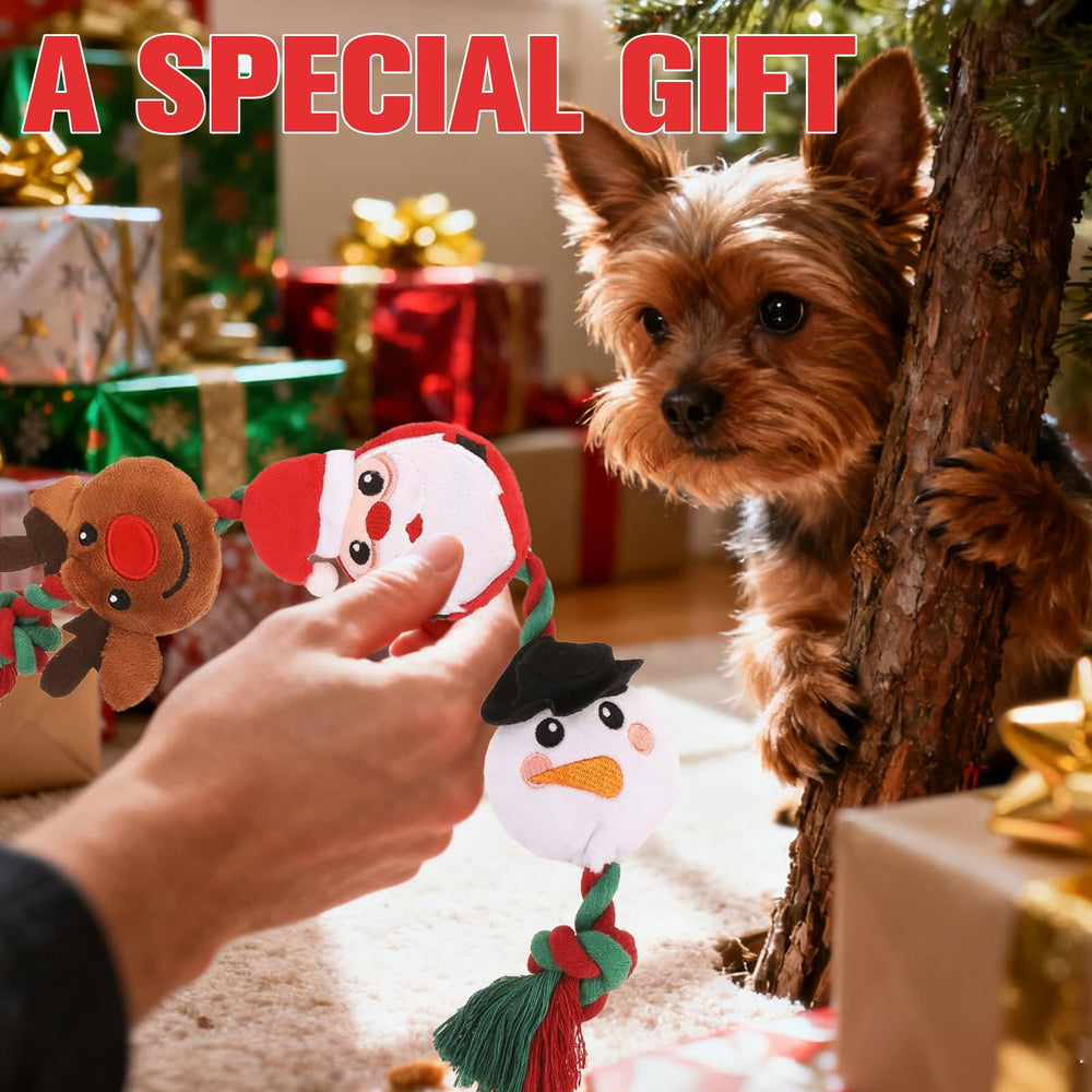 EXPAWLORER Christmas dog toy packaging showcases festive gift-ready design.