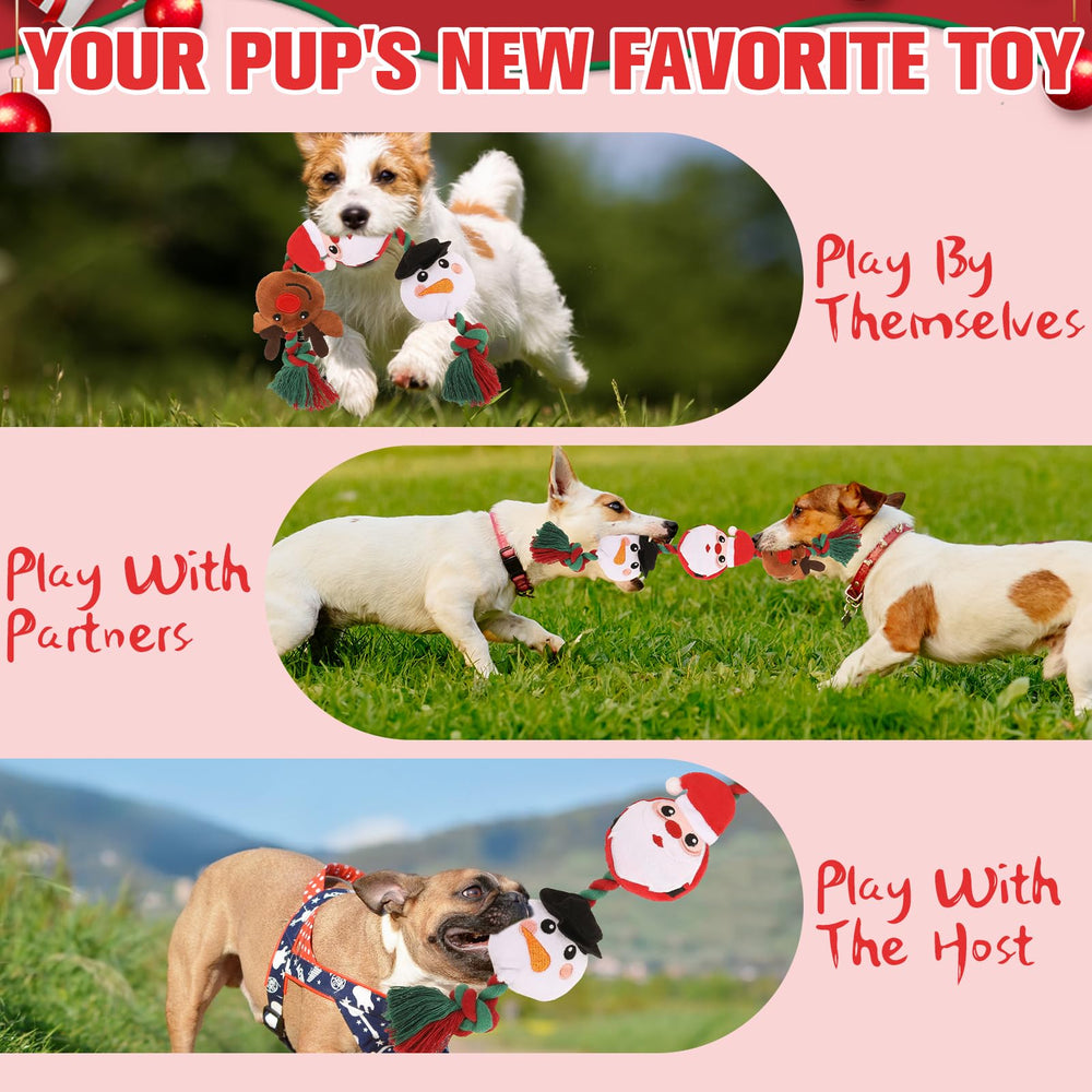 EXPAWLORER cotton rope toy durability emphasizes bite resistance and chew time versatility.