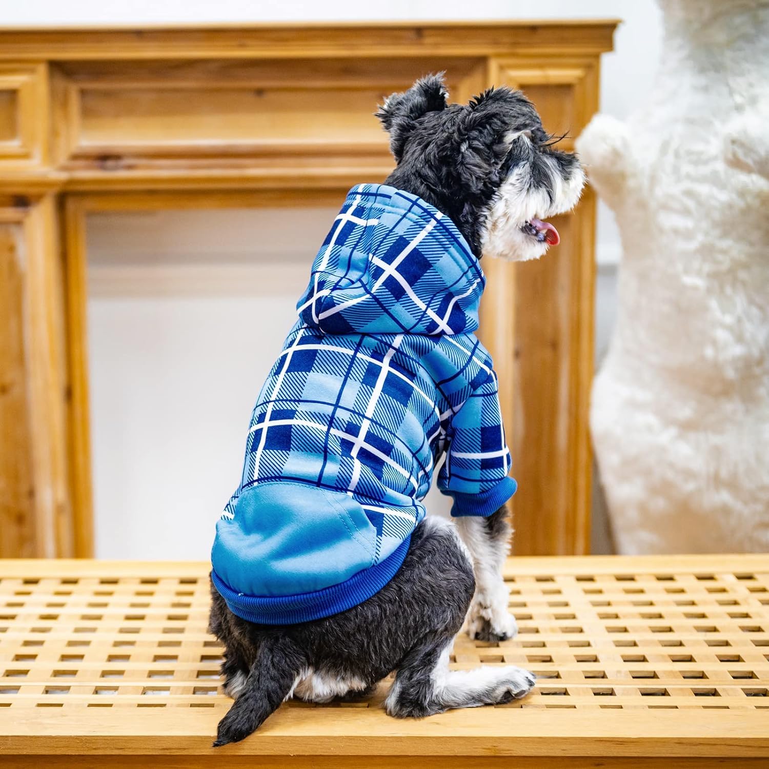 EXPAWLORER warm dog outerwear blue showcases premium fabric softness against chilly air