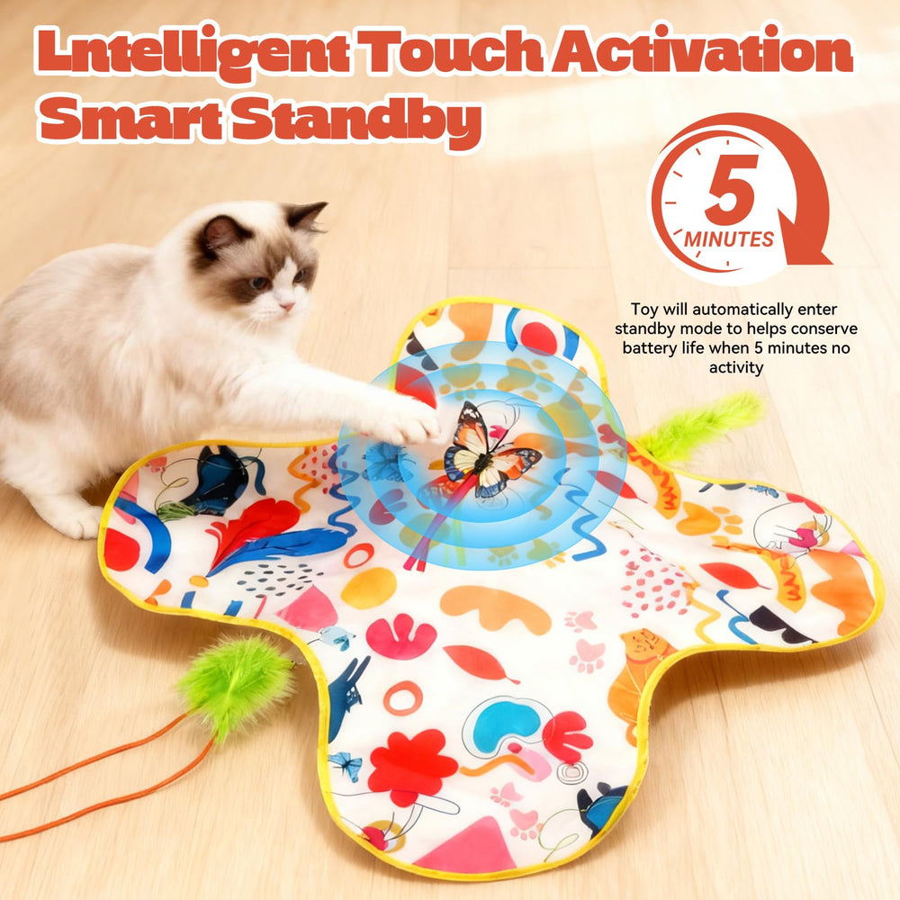 EXPBSYOU cat toy two removable covers for varied play and easy cleaning