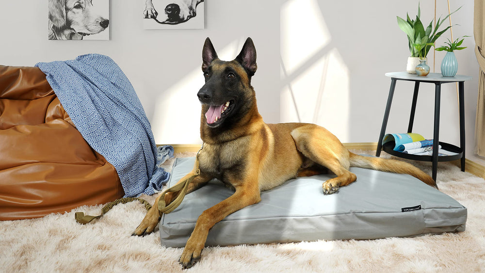 Explore Land Waterproof Dog Bed Cover material closeup highlights rugged fabric and stain resistance