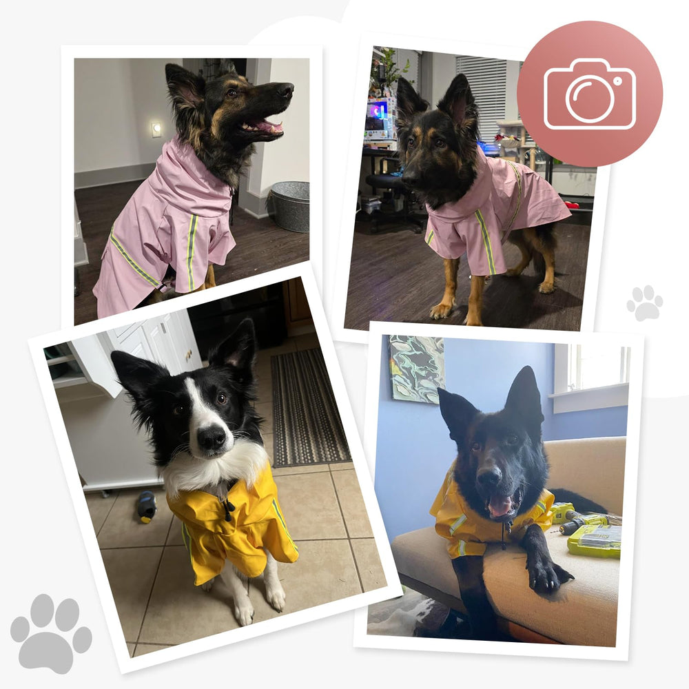 ExploreU dog raincoat easy-clean design cleans quickly after muddy adventures.