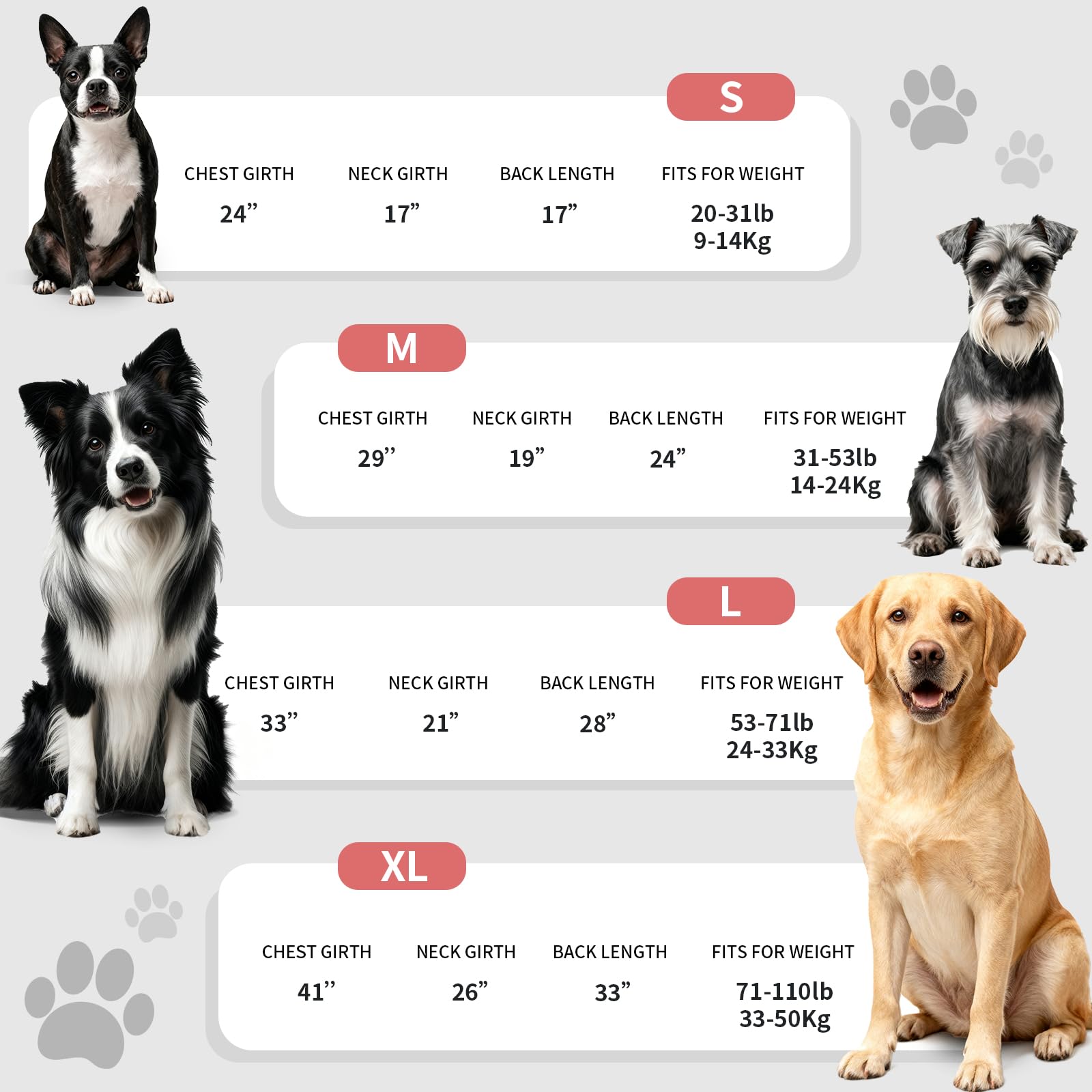 ExploreU dog raincoat size chart guide helps you pick the right fit