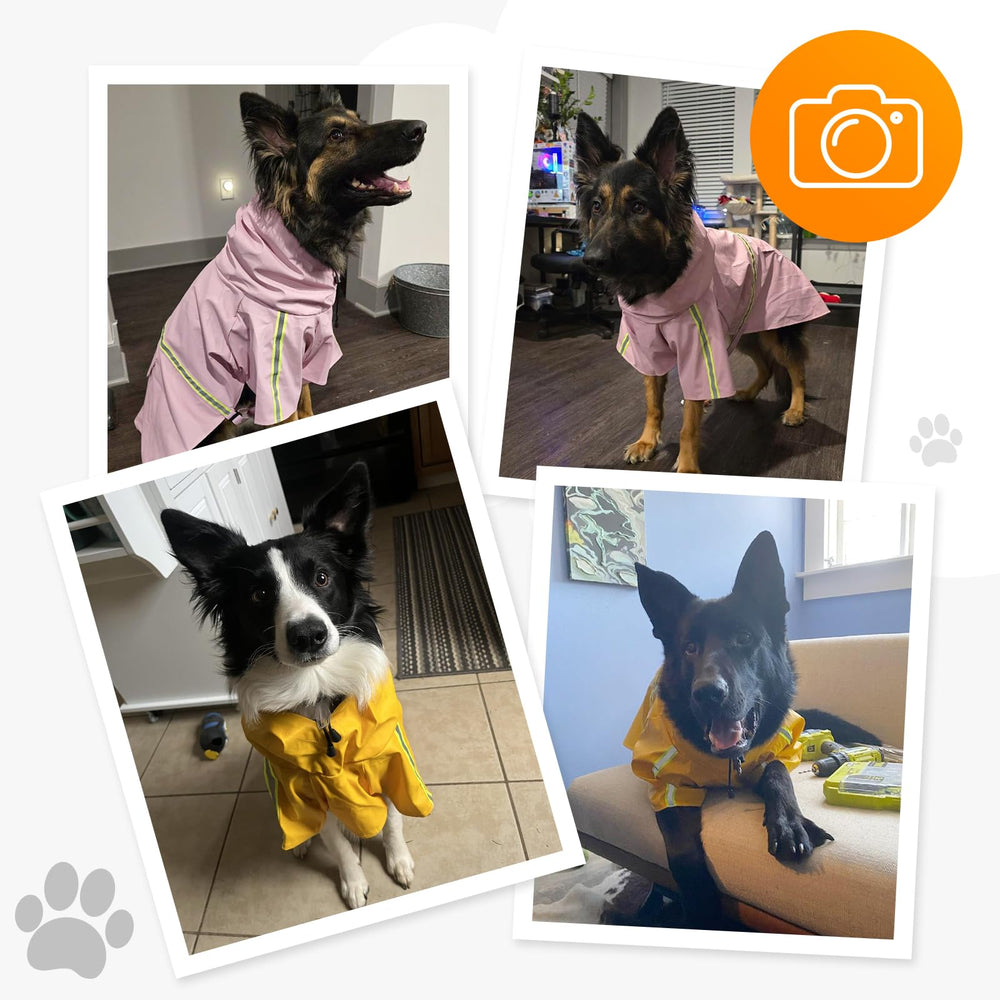 ExploreU dog raincoat yellow reflects light for safer daytime and dusk use.
