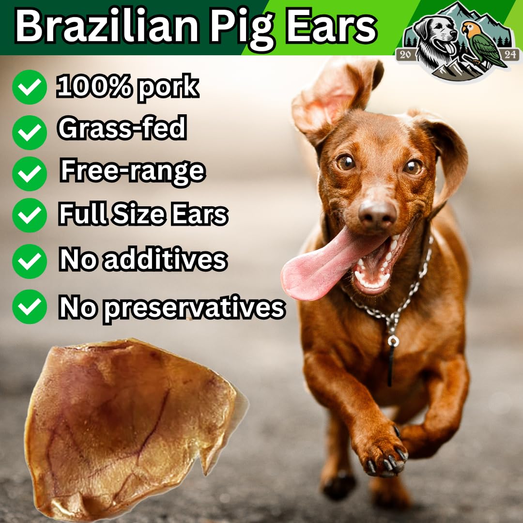 Exquisite Pets Brazilian pork ears: natural protein snack for active dogs.