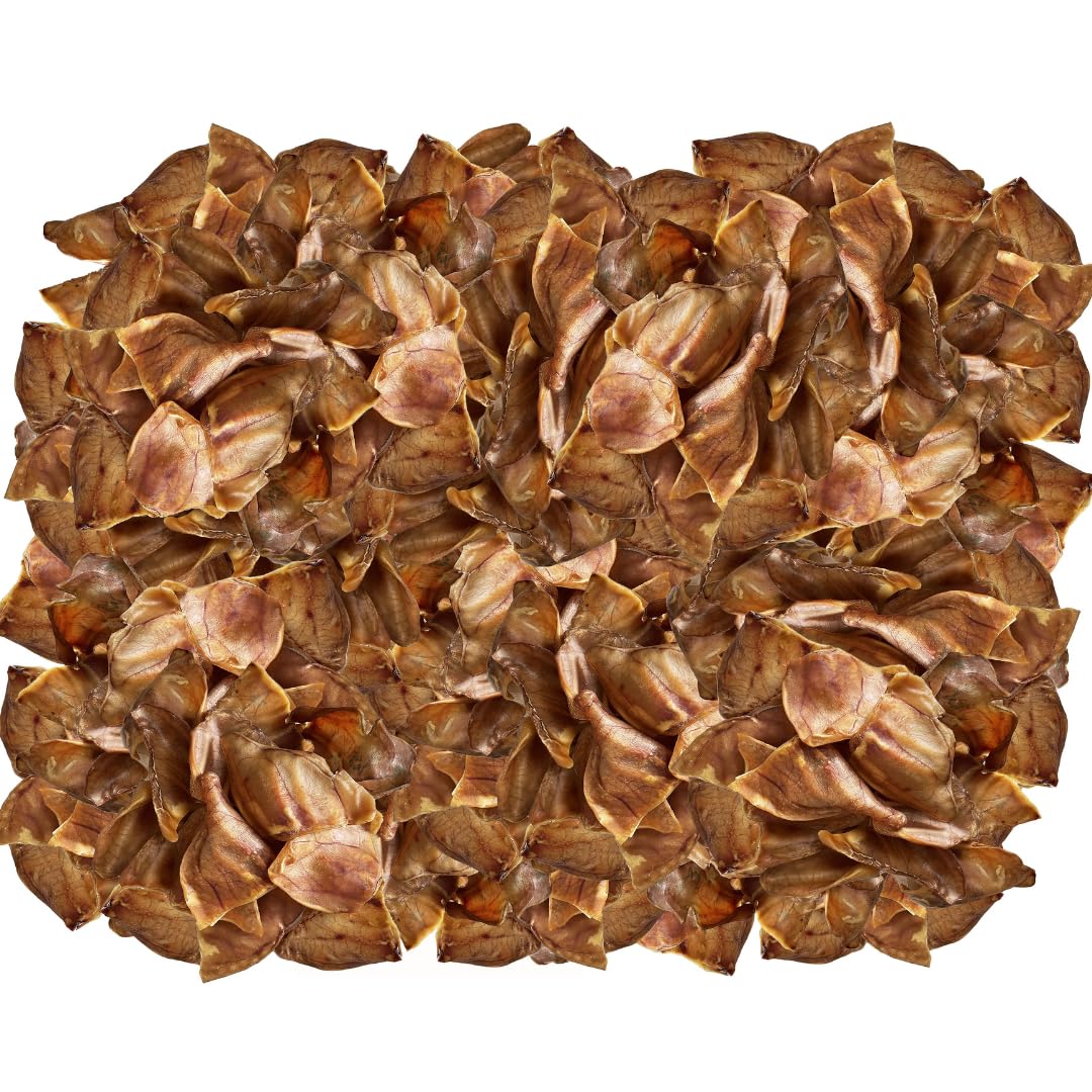 Exquisite Pets full-size pig ears: savory snack that promotes chewing satisfaction.