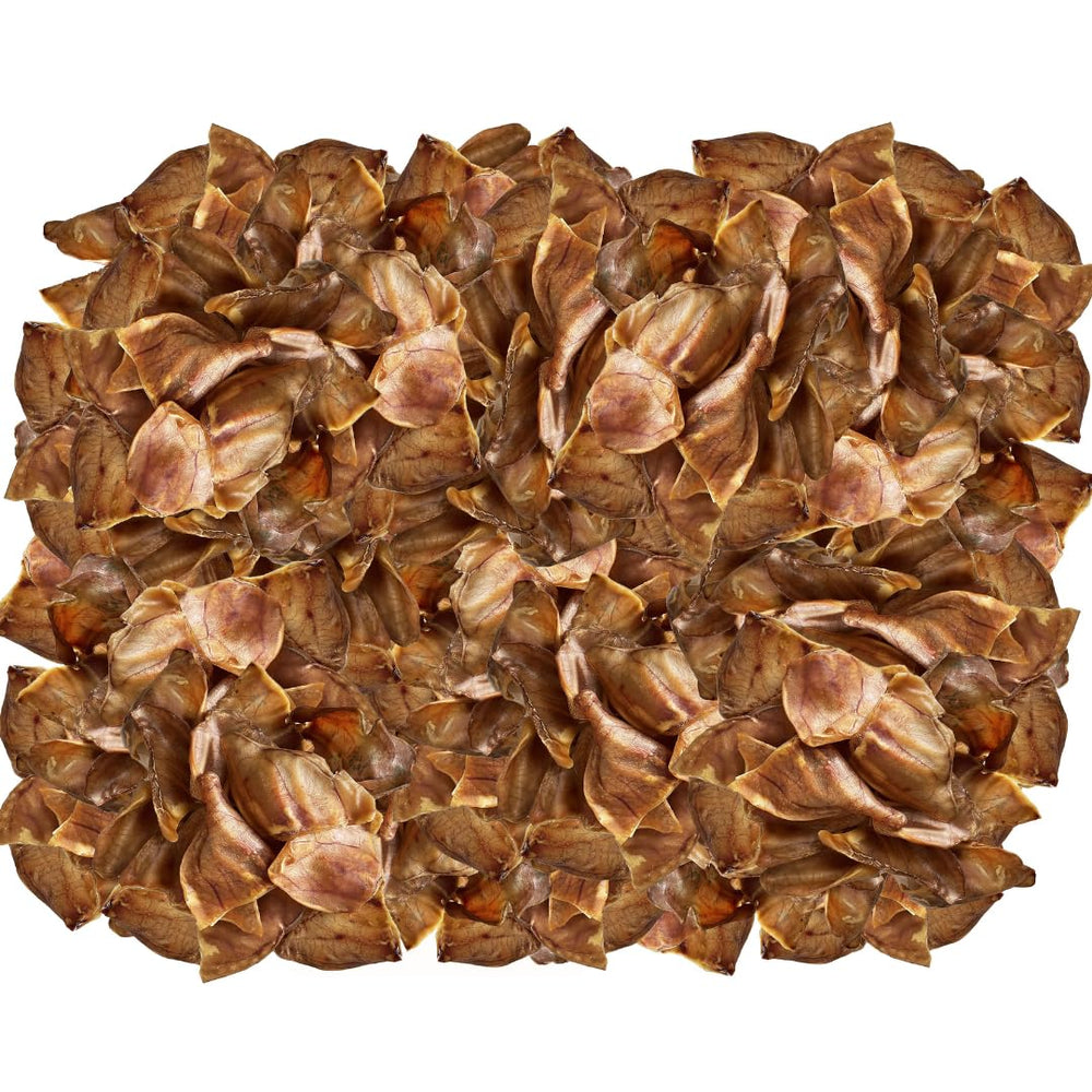 Exquisite Pets full-size pig ears: savory snack that promotes chewing satisfaction.