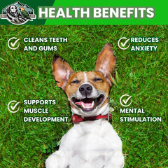 Exquisite Pets HACCP-certified production: safe dog chews in controlled facilities.