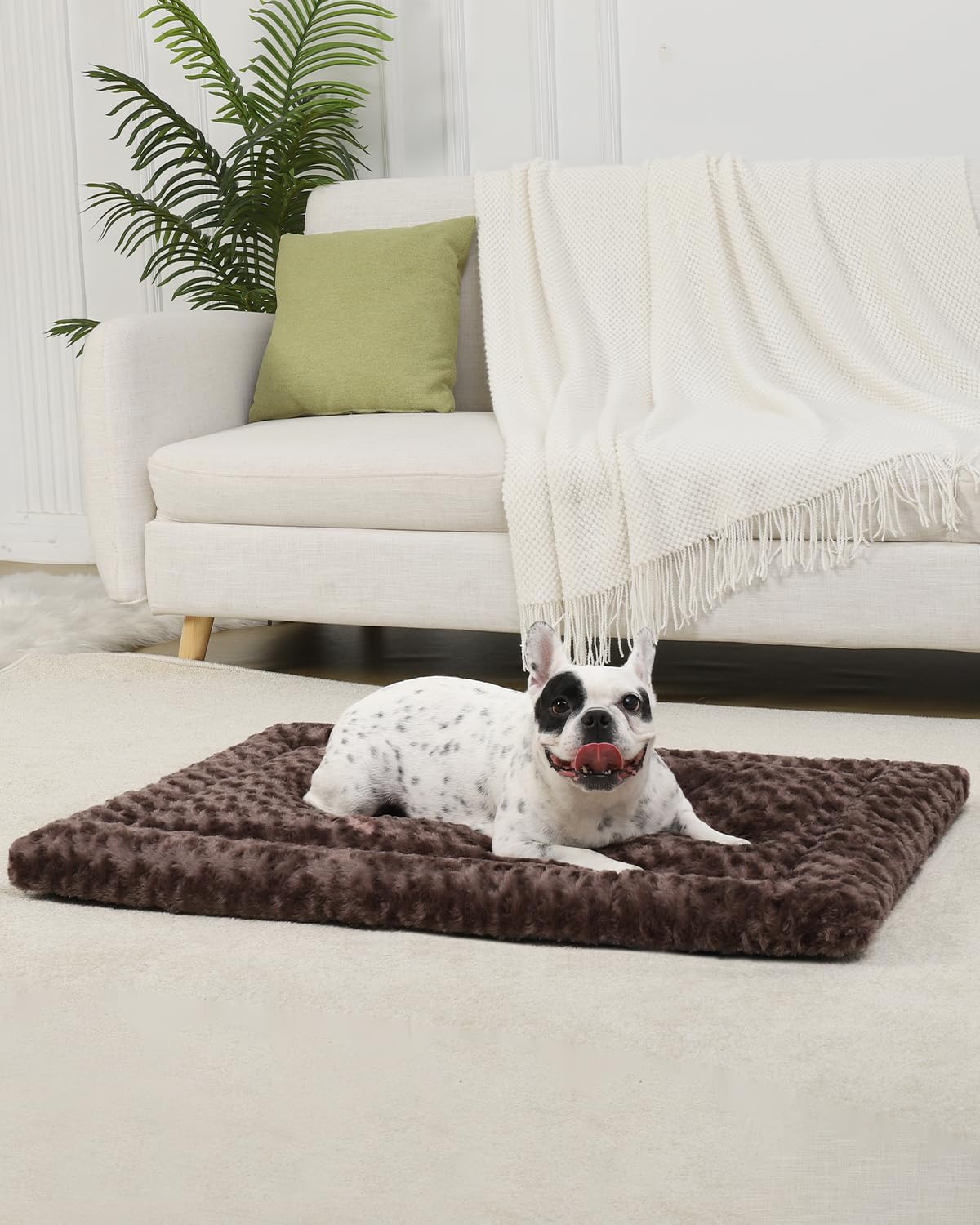 Exsnugy dog bed mat in elevated bed for versatile placement